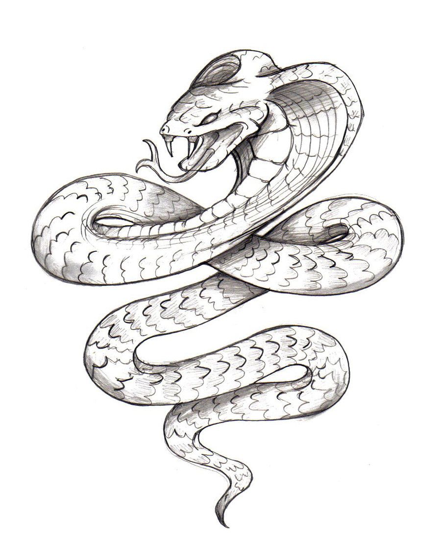 a serpent.